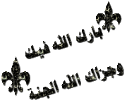 فيديو مؤثر جداا لأسطول الحرية شاهد ومش هتندم 371133